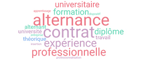 L'alternance �� l'Universit�� Jean Moulin