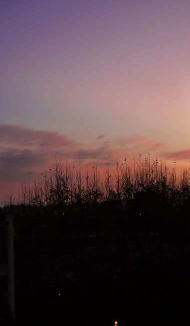 Depuis ma fen��tre ? Eug��nie NAGEL