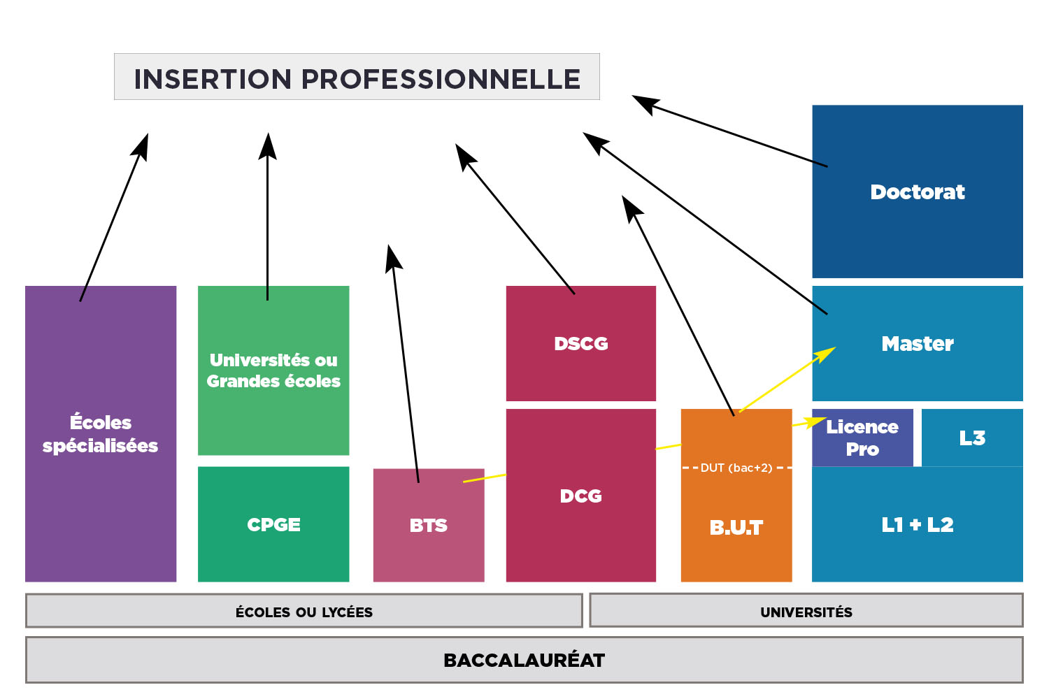 Sch��ma des ��tudes apr��s le Bac